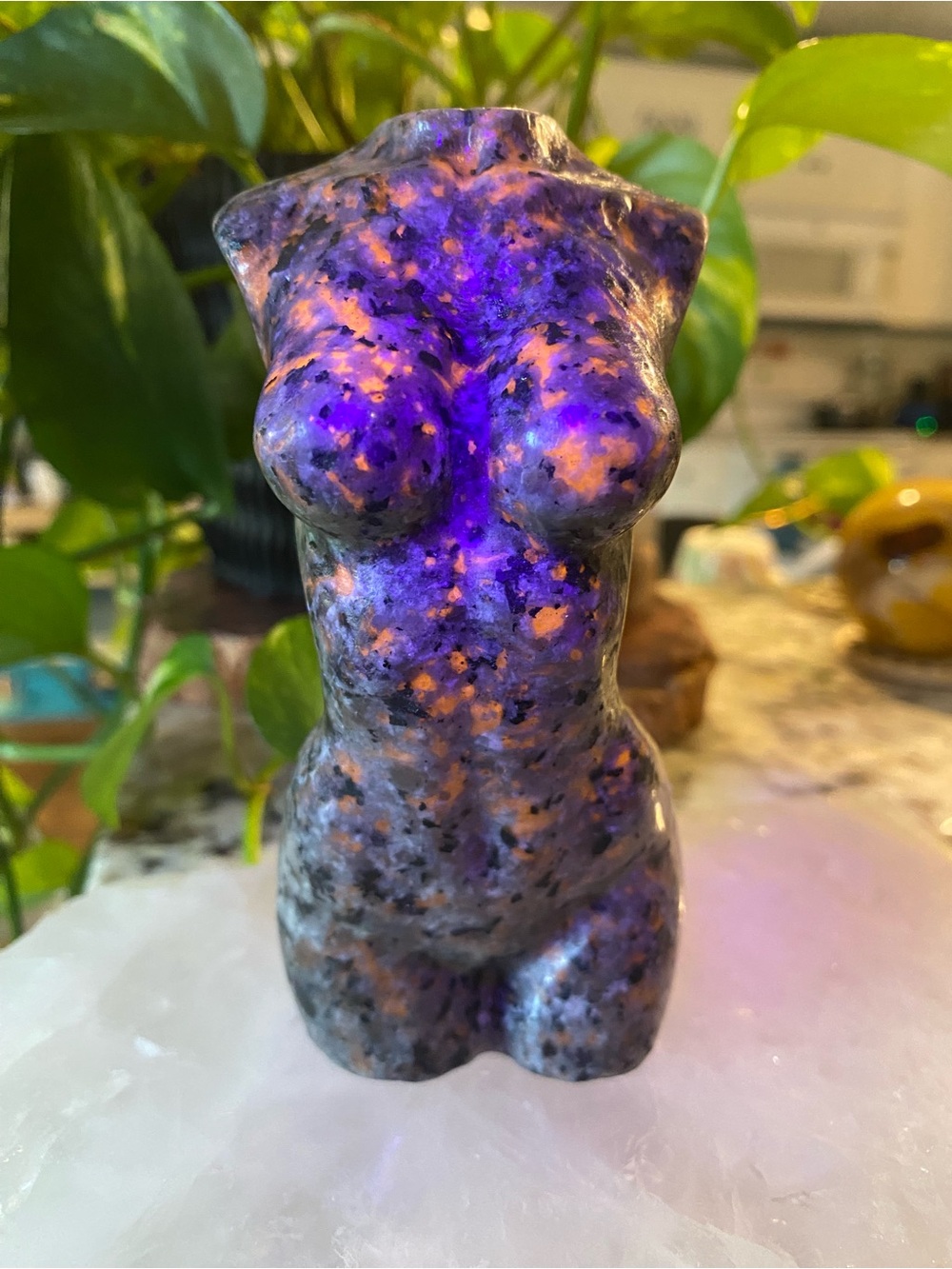 ✨ THE UV GODDESS HAS ARRIVED ✨